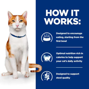 Hill’s Prescription Diet On-Care Dry Cat Food (1.5kg)