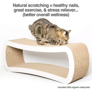 PetFusion Jumbo Cat Scratcher Lounge - Shopivet.com