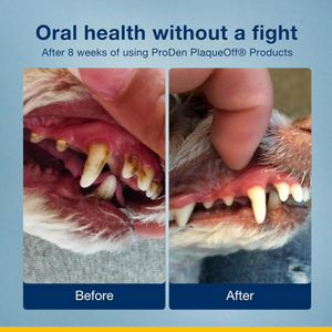 ProDen PlaqueOff Powder for Dogs 20 g
