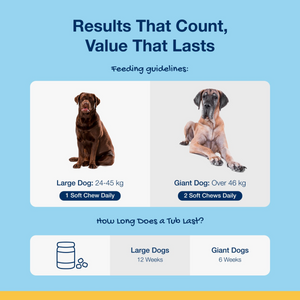 ProDen PlaqueOff Soft Chews for L/Giant Dogs - 60 chews, 180 g