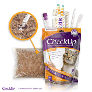 CheckUp Kit Cat