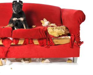Puppy Chew Stopper 500 ml - Shopivet.com