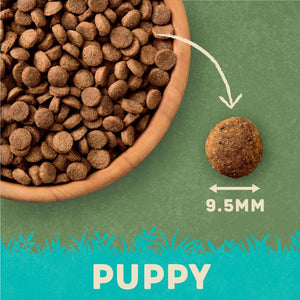 Harringtons Complete Salmon & Rice Dry Puppy Food 10kg - 10kg