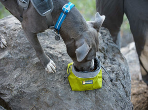 Ruffwear Quencher Cinch Top Packable Dog Bowl - BLUE L