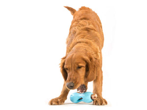 Qwizl Treat Toy - tangerine - Shopivet.com