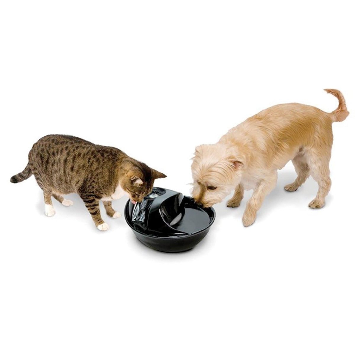 Raindrop Durable Ceramic Pet Fountain 60 oz (Black) - Shopivet.com