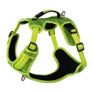 Rogz Explore Dog Harness - DAYGLO FLORAL Small - Shopivet.com