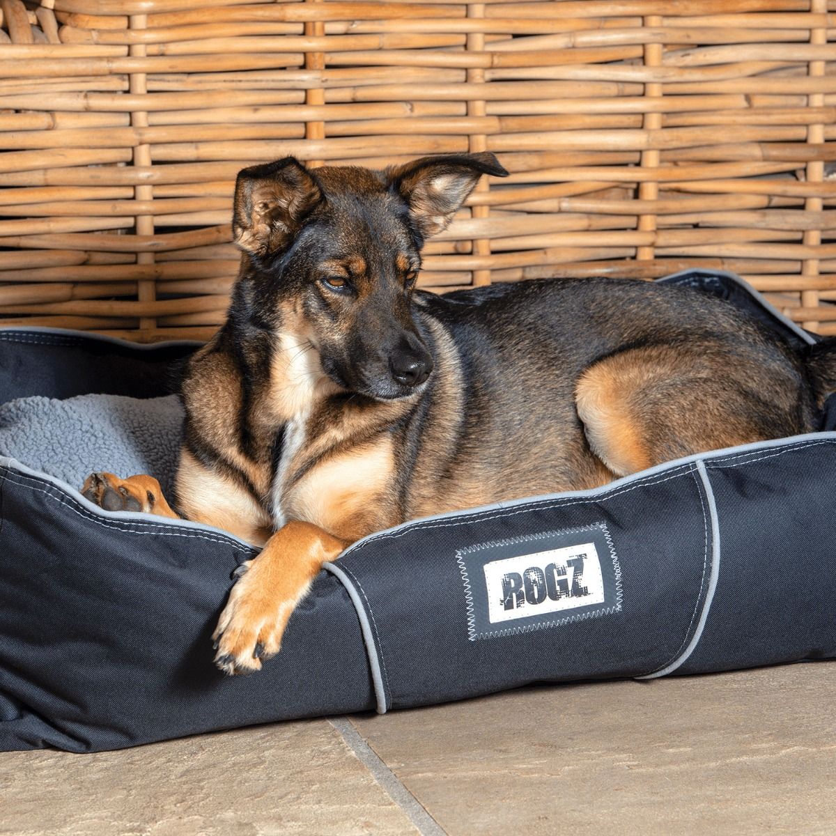 Rogz Lekka Cushioned Dog Bed - BLACK Medium - Shopivet.com