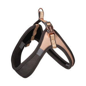 Rogz Urban Fast - Fit Adjustable Dog Harness - GOLD MEDIUM - Shopivet.com