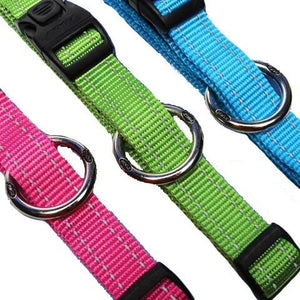 Rogz Utility Reflective Stitching Dog Collar - BLACK Medium - Shopivet.com
