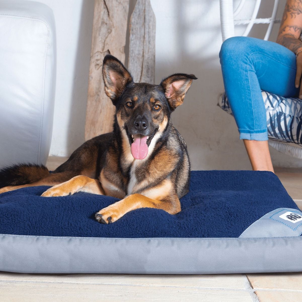 Rogz Lekka Flat Dog Bed - GREY/NAVY Medium