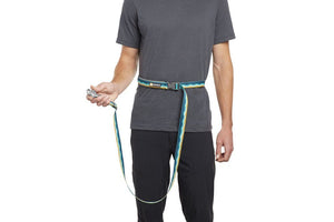 Ruffwear Crag Reflective Dog Leash - Alpine Dawn - Shopivet.com