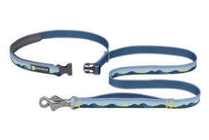 Ruffwear Crag Reflective Dog Leash - Alpine Dawn - Shopivet.com