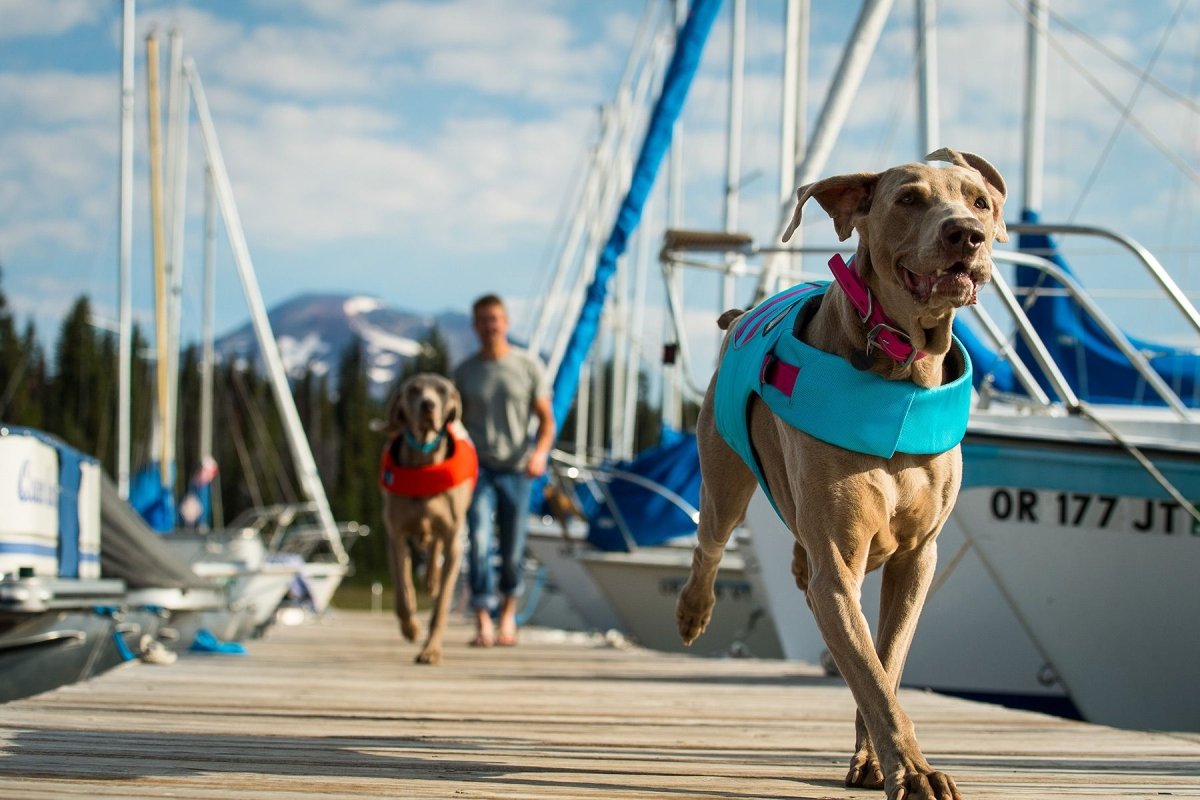 Ruffwear Float Coat Dog Life Jacket - RED LARGE - Shopivet.com