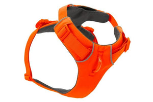 Ruffwear Front Range Padded Dog Harness - Blaze Orange Medium - Shopivet.com