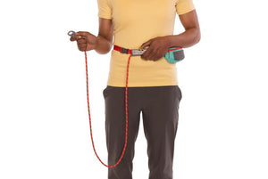 Ruffwear Hitch Hiker Dog Portable Hitch & Leash Combo - Aurora Teal - Shopivet.com