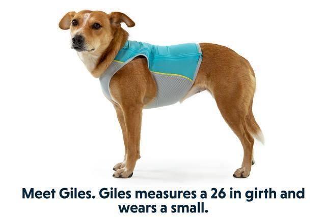 Ruffwear Jet Stream Dog Cooling Vest - ORANGE XXS - Shopivet.com