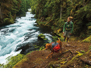 Ruffwear Palisades Multi - Day Dog Backpack - M - Shopivet.com