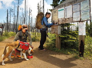 Ruffwear Palisades Multi - Day Dog Backpack - S - Shopivet.com