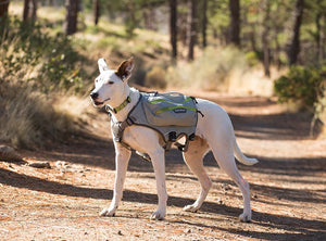 Ruffwear Singletrak Hydration Pack with Built - In Dog Harness - L/X - L - Shopivet.com