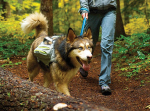 Ruffwear Singletrak Hydration Pack with Built - In Dog Harness - L/X - L - Shopivet.com