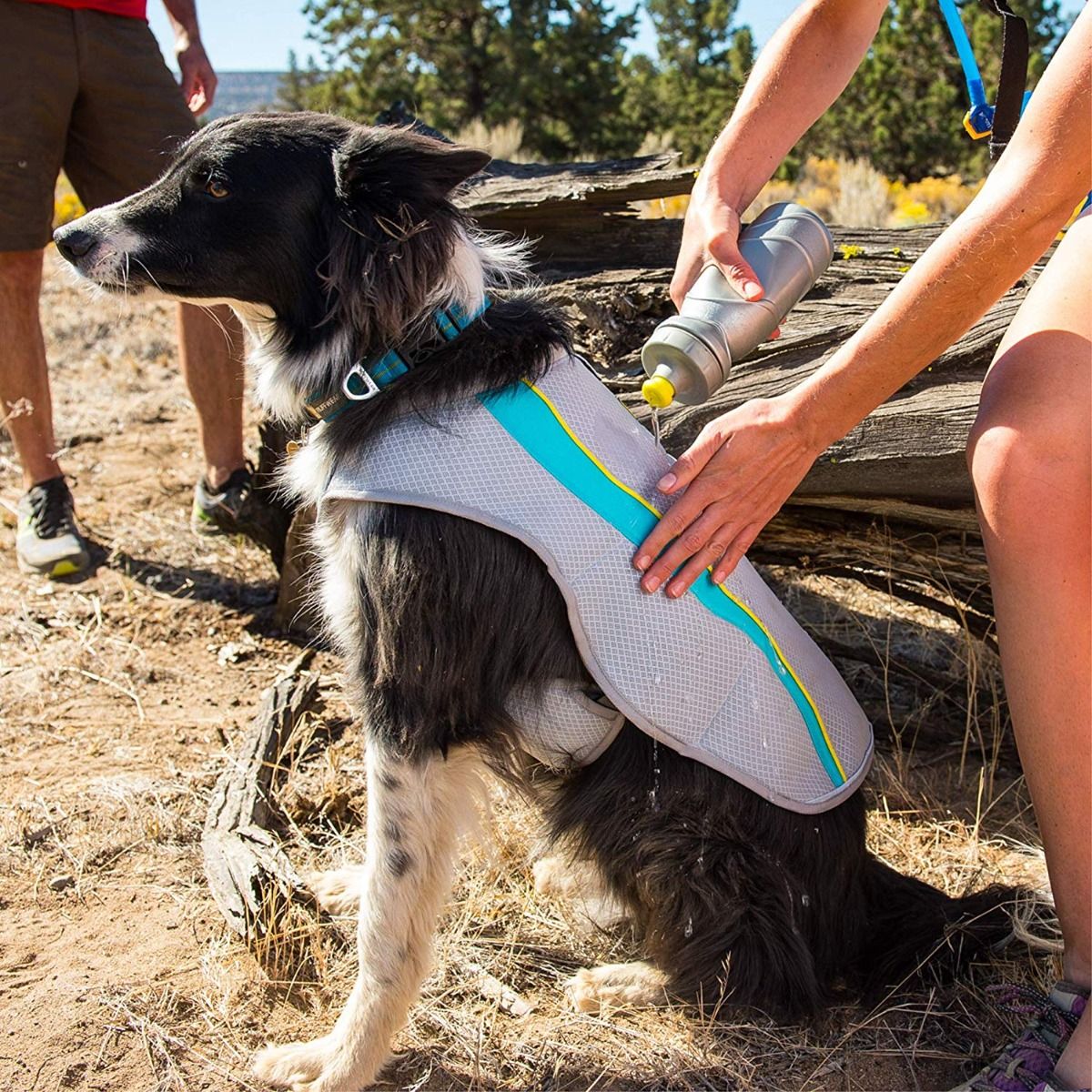 Ruffwear Swamp Cooler Cooling Dog Vest - PURPLE X - Small - Shopivet.com