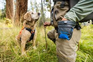 Ruffwear Waist - Worn Treat Trader Dog Treats Pouch - Blue Pool - Shopivet.com