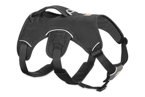 Ruffwear WebMaster Dog Harness - GREY L/XL - Shopivet.com