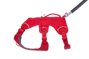 Ruffwear WebMaster Dog Harness - Red Canyon Large/X - Large - Shopivet.com
