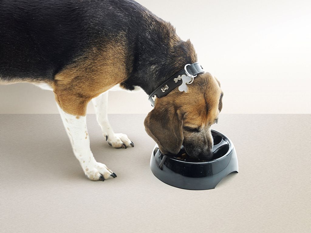 Savic Slow Down Dog Bowl - 3 - Shopivet.com