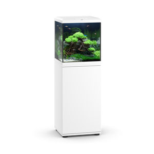 SBX Vio Cube 54 White
