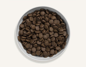 Canagan Scottish Salmon Dry Dog Food - 2KG