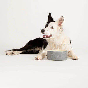 Scruffs Classic Food Dog Bowl - GREY 13CM - Shopivet.com