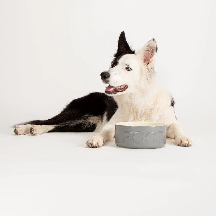 Scruffs Classic Food Dog Bowl - GREY 13CM - Shopivet.com