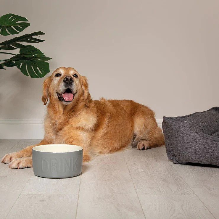 Scruffs Classic Water Dog Bowl - Grey 15cm - Shopivet.com