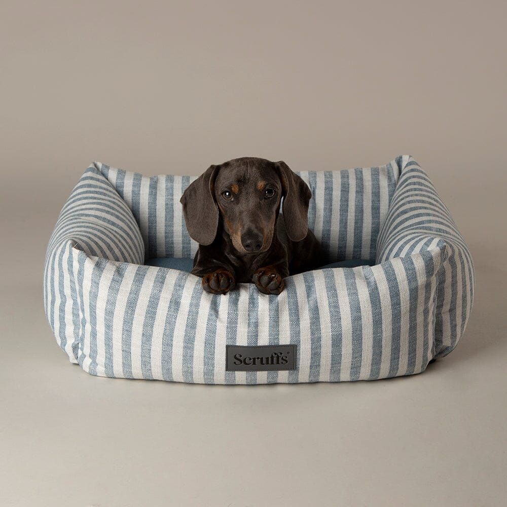 Scruffs Coastal Box Dog Bed - Green Medium - Shopivet.com