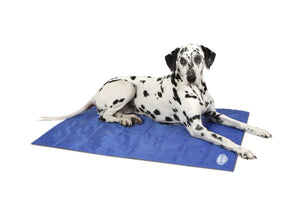Scruffs Cool Dog Mat - Large - Shopivet.com