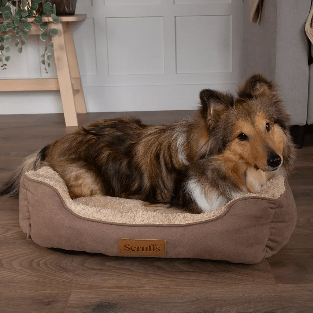 Scruffs Cosy Box Dog Bed - Medium - Shopivet.com