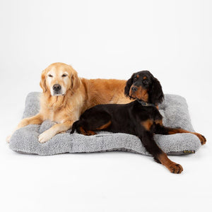Scruffs Cosy Crate Mattress Dog Bed - Medium - Shopivet.com