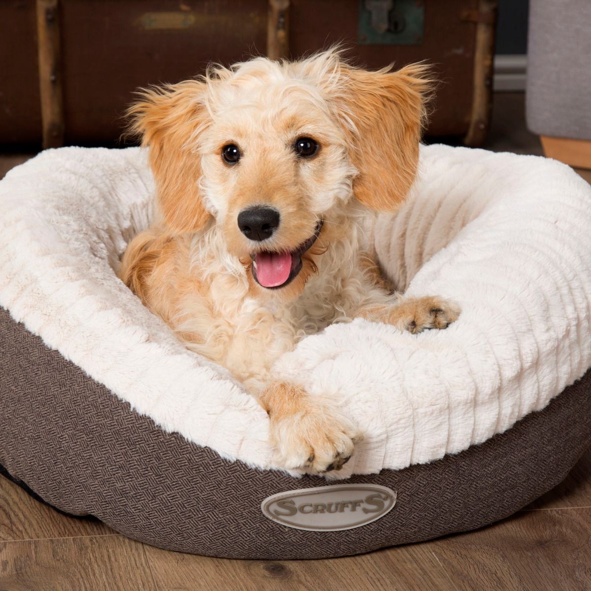 Scruffs Ellen Donut Dog Bed - Light Grey Medium - Shopivet.com