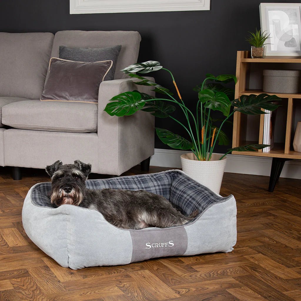 Scruffs Highland Box Dog Bed - Grey Small - Shopivet.com