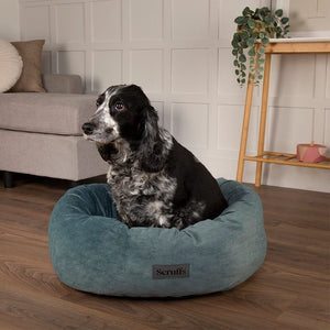 Scruffs Oslo Donut Dog Bed - Lake Teal Medium - Shopivet.com