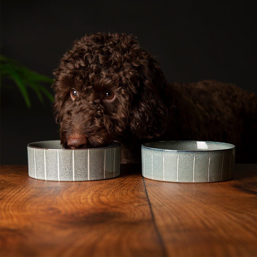 Scruffs Reactive Glaze Dog Bowl - Pinstripe Graphite 15cm - Shopivet.com