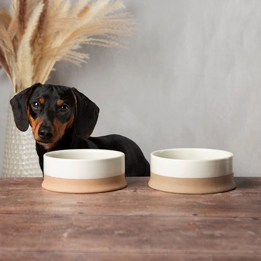 Scruffs Scandi Non - Tip Dog Bowl - Grey 20cm - Shopivet.com