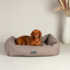 Scruffs Seattle Box Dog Bed - Stone Grey Medium - Shopivet.com