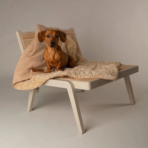 Scruffs Snuggle Dog Blanket - Desert Sand - Shopivet.com