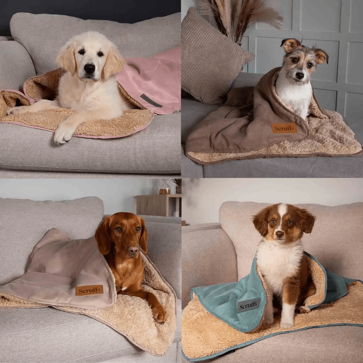 Scruffs Snuggle Dog Blanket - Sage Green - Shopivet.com