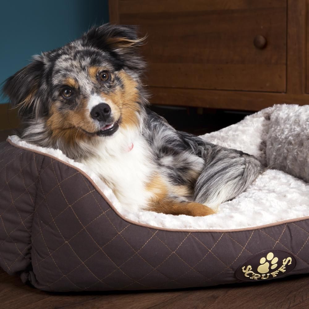 Scruffs Wilton Box Dog Bed - Grey Medium - Shopivet.com