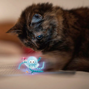 Shining Friends Jellyfish with activated LED light & Catnip inside - Shopivet.com