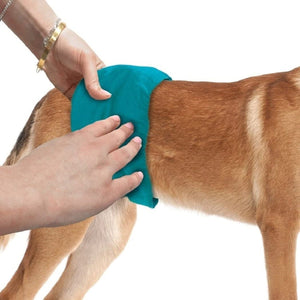Simple Solution Washable Male Dog Wraps - large - Shopivet.com